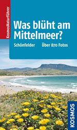 Was blüht am Mittelmeer?