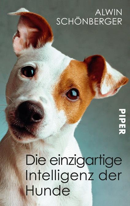 Die einzigartige Intelligenz der Hunde