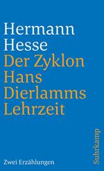 Der Zyklon und Hans Dierlamms Lehrzeit