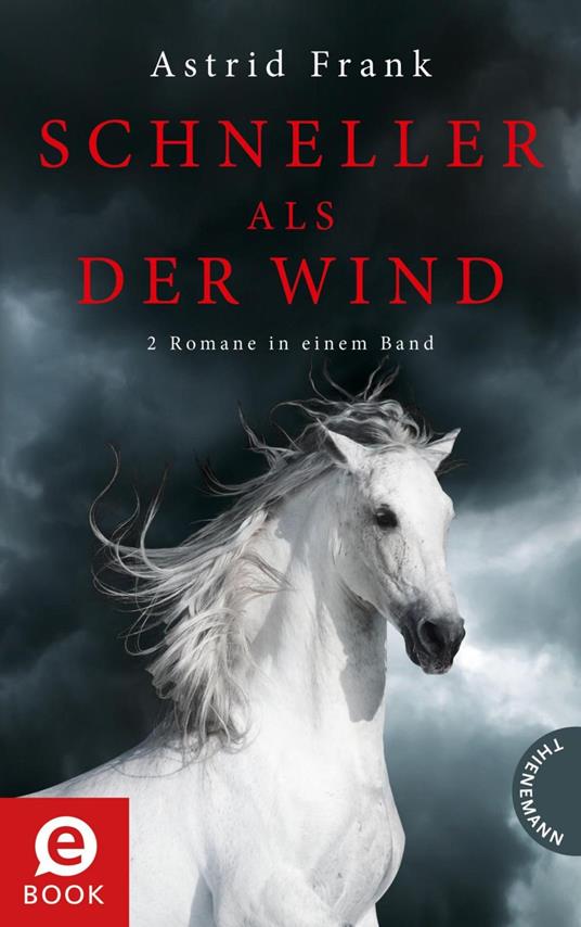 Schneller als der Wind - Frank Astrid,bürosüd° GmbH - ebook