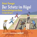 Der Schatz im Hügel