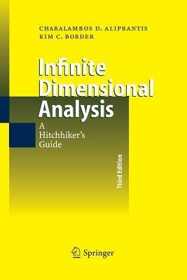 Infinite Dimensional Analysis: A Hitchhiker's Guide - Charalambos D. Aliprantis,Kim C. Border - cover
