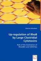 Up-regulation of RhoB by Large Clostridial Cytotoxins