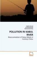 Pollution in Kabul River - Habib Ahmad,Ali Muhammad,Muhammad Siraj - cover