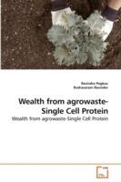Wealth from agrowaste-Single Cell Protein - Ravindra Pogkau - cover