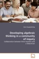 Developing algebraic thinking in a community of inquiry