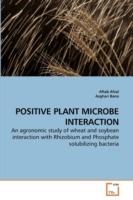 Positive Plant Microbe Interaction - Aftab Afzal,Asghari Bano - cover