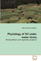 Physiology of Tef under water stress