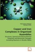 Copper and Iron Complexes in Organised Assemblies - Palaniandavar Mallayan,Natarajan Anitha - cover