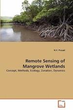 Remote Sensing of Mangrove Wetlands