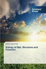 Kidney of Bat: Structure and Function