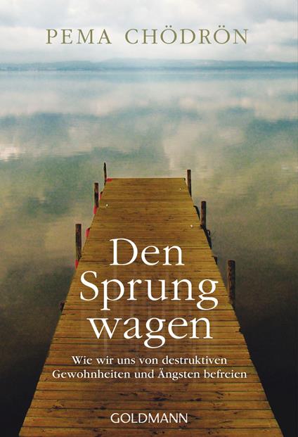 Den Sprung wagen