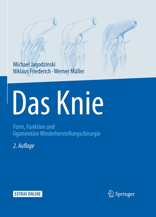 Das Knie