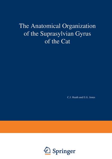 The Anatomical Organization of the Suprasylvian Gyrus of the Cat