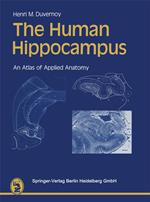 The Human Hippocampus