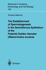 The Establishment of Spermatogenesis in the Seminiferous Epithelium of the Pubertal Golden Hamster (Mesocricetus auratus)