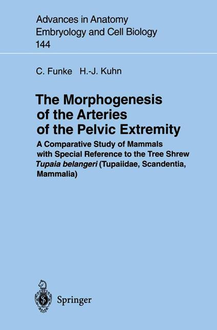 The Morphogenesis of the Arteries of the Pelvic Extremity