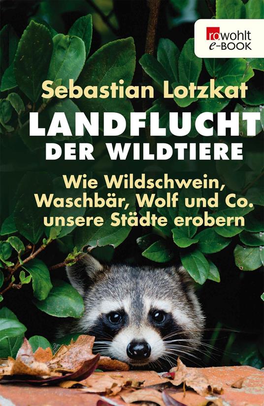 Landflucht der Wildtiere