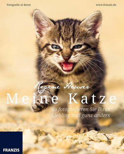 Meine Katze