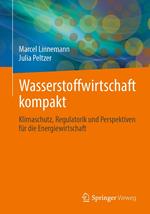 Wasserstoffwirtschaft kompakt