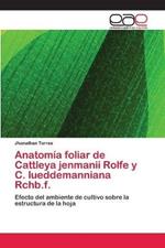 Anatomia foliar de Cattleya jenmanii Rolfe y C. lueddemanniana Rchb.f.