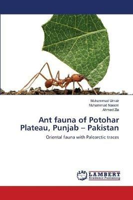 Ant fauna of Potohar Plateau, Punjab - Pakistan - Muhammad Umair,Muhammad Naeem,Ahmed Zia - cover