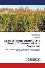 Somatic Embryogenesis and Genetic Transformation in Sugarcane