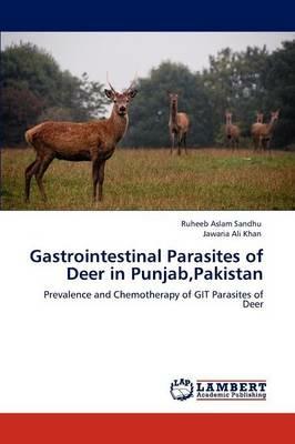 Gastrointestinal Parasites of Deer in Punjab, Pakistan - Ruheeb Aslam Sandhu,Jawaria Ali Khan - cover