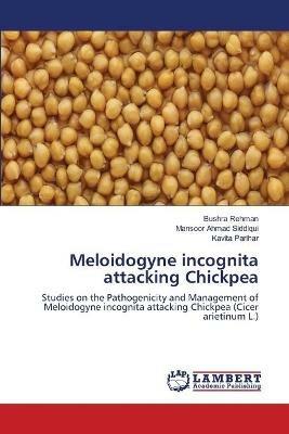 Meloidogyne incognita attacking Chickpea - Bushra Rehman,Mansoor Ahmad Siddiqui,Kavita Parihar - cover