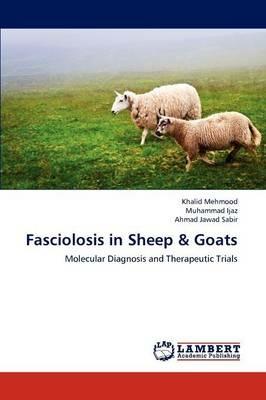 Fasciolosis in Sheep & Goats - Khalid Mehmood,Muhammad Ijaz,Ahmad Jawad Sabir - cover