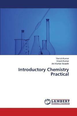 Introductory Chemistry Practical - Manish Kumar,Vikesh Kumar,Anil Kumar Awasthi - cover