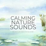 Calming Nature Sounds (Without Music) for Deep Sleep, Meditation, Relaxation