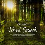 Calming Forest Sounds with Soft Rains & Gentle Winds (without music) for Deep Sleep, Meditation, Relaxation