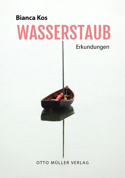 Wasserstaub