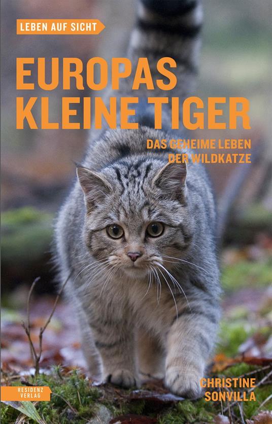 Europas kleine Tiger