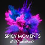 Nachtschwärmer - Erotische Geschichte mit Verführung - spicy moments, Band 8 (Ungekürzte Lesung)