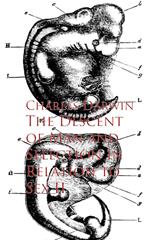 The Descent of Man and Selection in Relation to Sex II