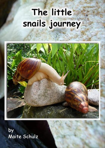 The little snails journey - Maite Schulz - ebook
