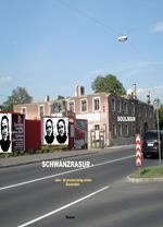 SCHWANZRASUR