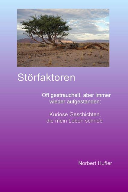 Störfaktoren