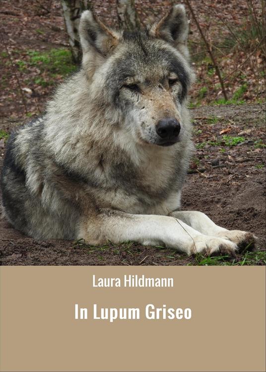 In Lupum Griseo