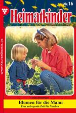 Heimatkinder 16 – Heimatroman