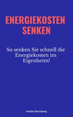 Energiekosten senken