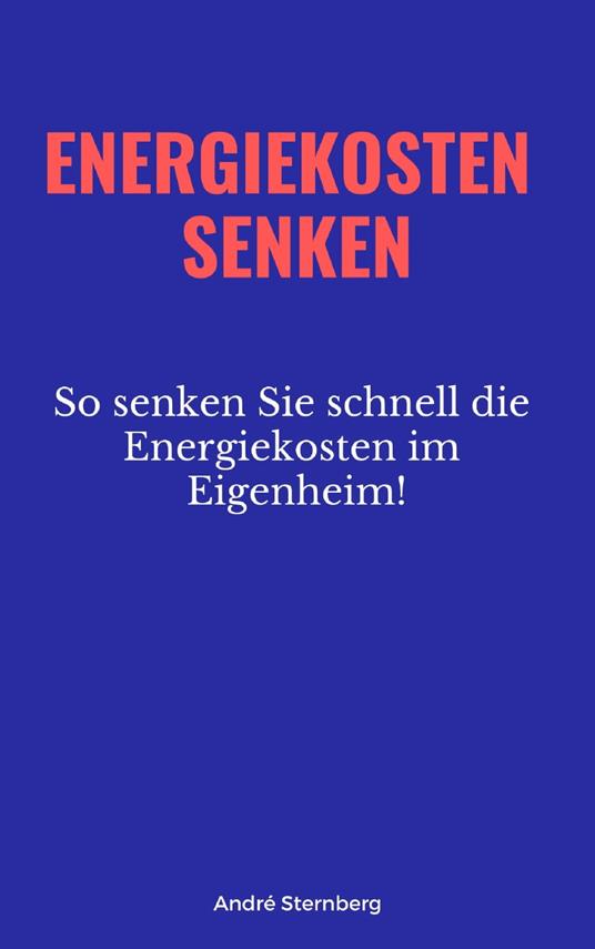 Energiekosten senken