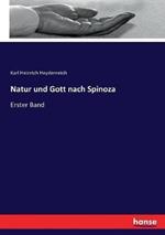 Natur und Gott nach Spinoza: Erster Band