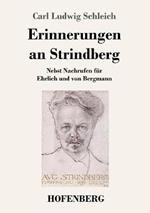 Erinnerungen an Strindberg: Nebst Nachrufen für Ehrlich und von Bergmann