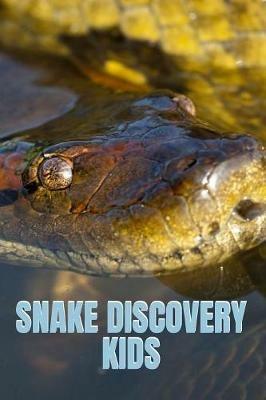 Snake Discovery Kids: Jungle Stories Of Mysterious & Dangerous Snakes With Funny Pictures, Photos & Memes Of Snakes For Children - Kate Cruso - cover