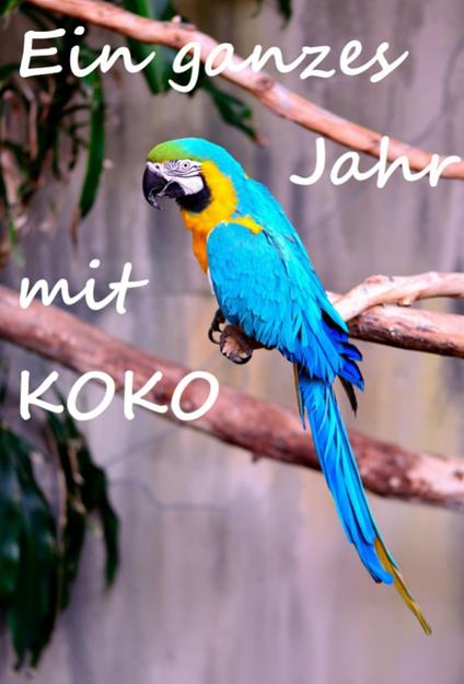 Ein ganzes Jahr mit Koko - Rosi Fee - ebook