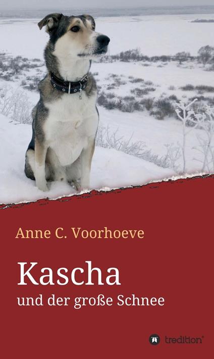 Kascha und der große Schnee - Anne C. Voorhoeve - ebook