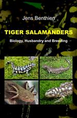 Tiger Salamanders